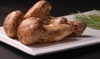 收到松茸后怎么保存 收到松茸后怎么保存呢