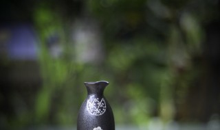 长期储藏酒的最佳方法(怎样储藏酒)