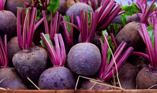 长期储藏的蔬菜（什么蔬菜储藏时间长）