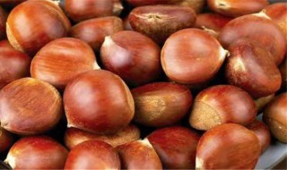 板栗能晒干保存吗 板栗可以晒干保存吗