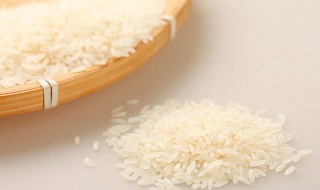 怎么存放大米不生虫子 如何存放大米不生虫