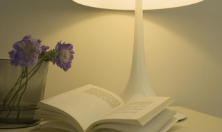 匙组词语（匙组词语和拼音）