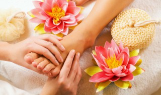 脚英语怎么读（脚英语怎么读 单词）