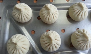 角瓜猪肉包子的做法(角瓜猪肉馅包子的做法)