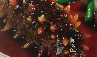 鲍汁海参正宗做法(鲍汁海参正宗做法窍门)