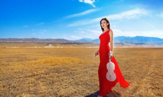 歌在飞改编版歌词(歌在飞改编版全部)