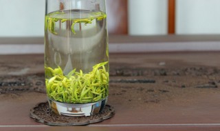 采花毛尖功效与作用(采花毛尖的功效与作用)