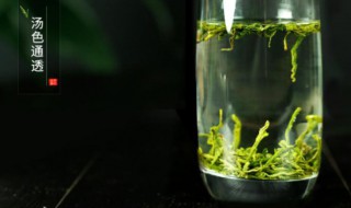 永川秀芽功效(永川秀芽功效副作用)