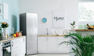 冰箱冷藏室结冰怎么回事 冰箱冷藏室结冰怎么回事儿