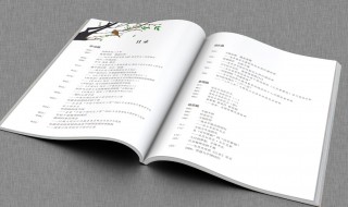 笔字组词（笔字组词一年级）