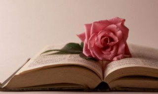 关于廉洁的完整古诗（关于廉洁的完整古诗六句）