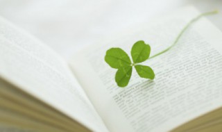 关于祖国的诗句古诗 关于祖国的诗句古诗,三年级