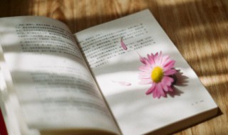 关于国家的古诗（关于国家的古诗七言）