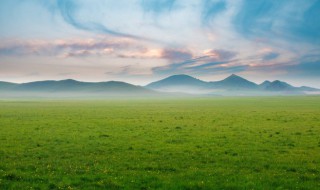 绿组词颜色（绿组词颜色表示颜色的词语有哪些）