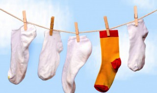 袜子英语怎么读（短裤英语怎么读）