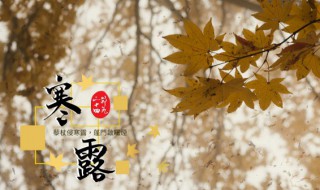 关于寒露的诗句和谚语（描写寒露的谚语）