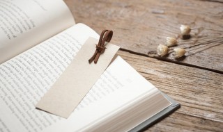 嶙峋怎么读 嶙峋怎么读音