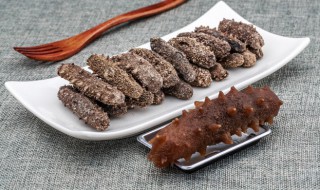 海参怎么泡发最好最快(海参怎么泡发最好最快呢)