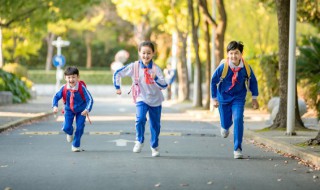 关于拔河的作文 关于拔河的作文400字