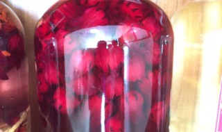 红桃k怎么泡酒 红桃k怎么泡酒需要剥掉籽吗