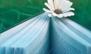 关于秋收的诗句 关于秋收的诗句古诗词