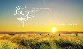 关于青春的诗歌朗诵 关于青春的诗歌朗诵推荐