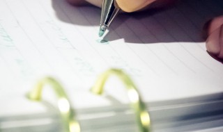 关于精神的作文（关于精神的作文素材）