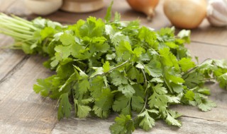 腌香菜的方法 最简单的腌香菜的方法