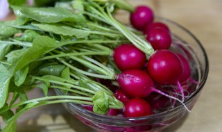 萝卜樱子腌制咸菜的方法（韩国萝卜樱子腌制咸菜的方法）