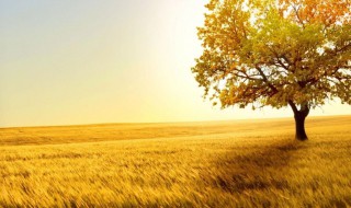 关于秋天的名言 关于秋天的名言诗句