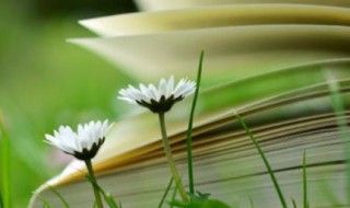 关于青春的简短小诗 关于青春的简短小诗歌