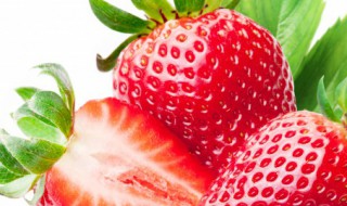 大果粒草莓酱的做法 大果粒草莓酱的做法窍门