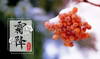 霜降文案 霜降文案节气简短