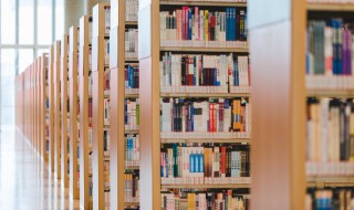 关于宪法的作文（关于宪法的作文1500字大学生）