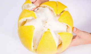 柚子皮的做法大全家常 柚子皮怎么做好吃又简单