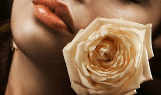 1到100朵香槟玫瑰花语(十一朵香槟玫瑰花的花语)