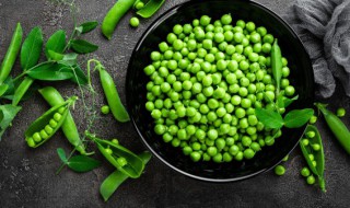 豌豆什么时候种合适（种豌豆什么时候种最佳）