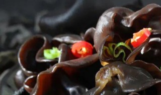 隔夜菜木耳可以吃吗? 隔夜的菜木耳能吃吗