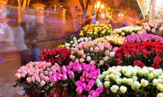 家里不能种的十种花（家里不能种的十种花草）