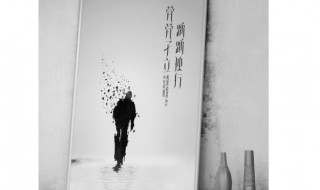 茕茕孑立形影相吊是什么意思（茕茕孑立 形影相吊什么意思）