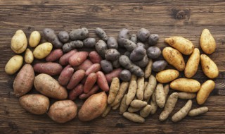 土豆发芽了怎么种植（土豆发芽了怎么种植水培）