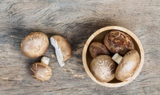 在家怎么种香菇（在家自己怎么种香菇）