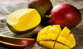 芒果籽怎么种成小盆栽（芒果籽怎么种成小盆栽图片）