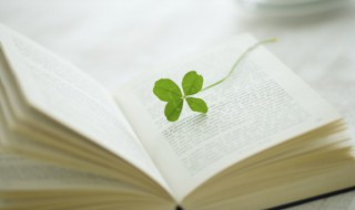 超好听的英文名字男孩（好听的英文名字 男孩）