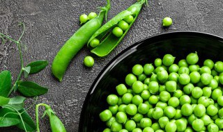 豌豆最佳播种与收获时间是什么时候（豌豆最佳播种与收获时间是什么时候开始）