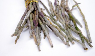 石斛种植条件有哪些 石斛种植条件有哪些要求
