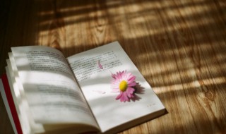 如人饮水冷暖自知这句话什么意思 如人饮水冷暖自知这句话什么意思啊