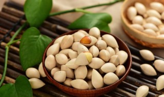 生吃白果的作用与功效(生吃白果的作用与功效禁忌)