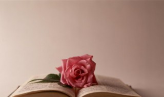 花攒锦聚的意思 聚锦的意思是什么