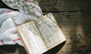 先下手为强的意思（先下手为强的意思和造句）